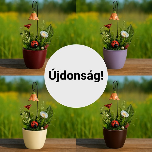 2025.07.04. Újdonságok -15% kedvezménnyel! Csak BODICO-tagoknak, csak hétfő éjfélig!